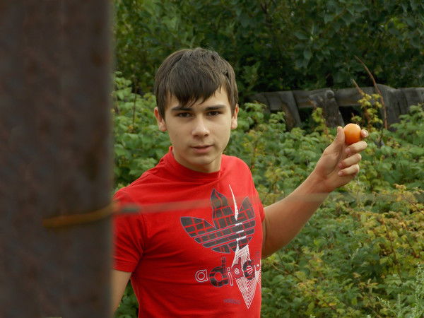 Илья Ивановский