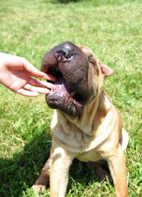 Яна Ляшкова