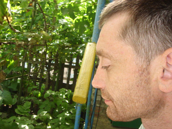 Александр Куценко