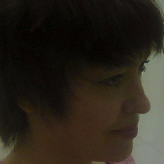 Елена Костина