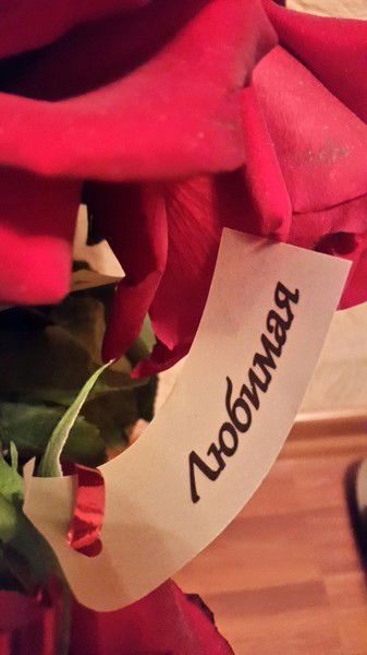 Надежда Каргина