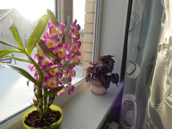 Светлана Филимоненко