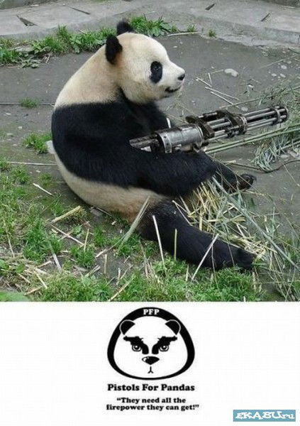 Дмитрий №№№