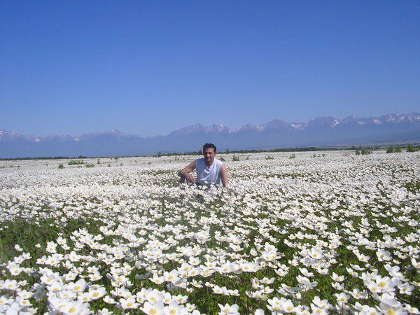 Валерий Ващенко