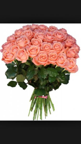 Замужем Алмазова(Цуроева)