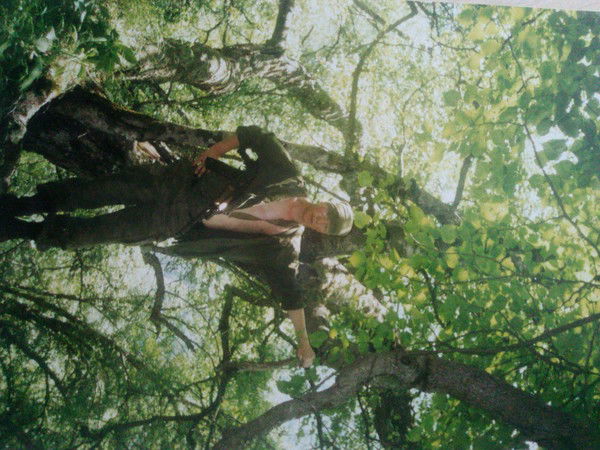 Александр Аникин