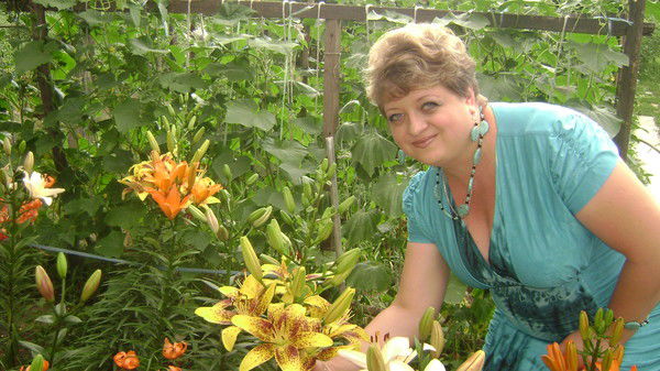 Елена Синецкая