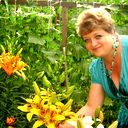 Елена Синецкая
