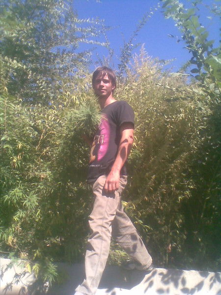 Александр Тимофеев