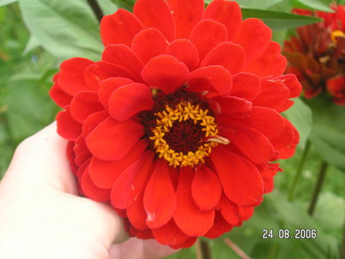 Наталья Логунова