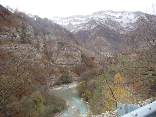 Елена Гранд