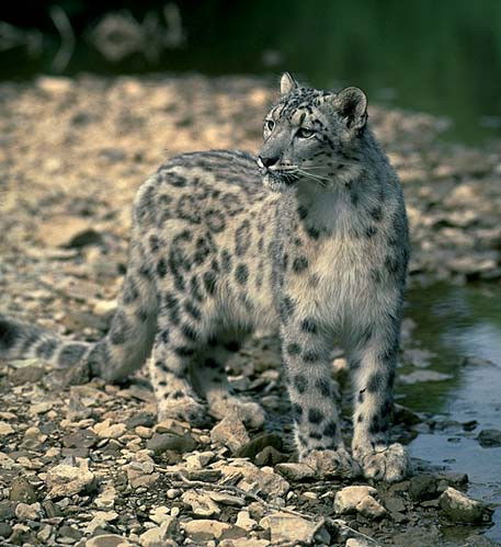 Людмила Васильева