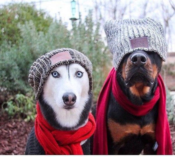 Сергей Побойкин