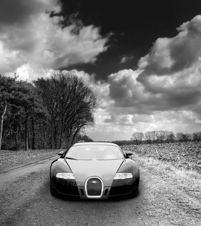 Никита Соколов