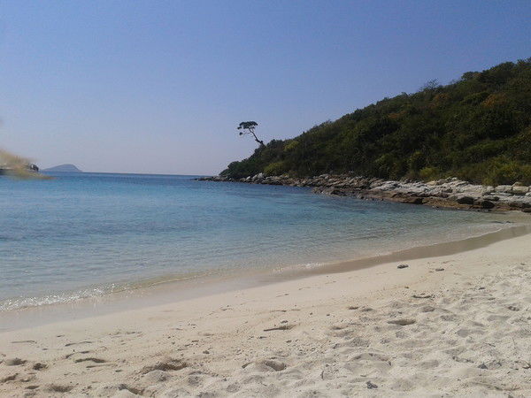 Ольга Абрамова