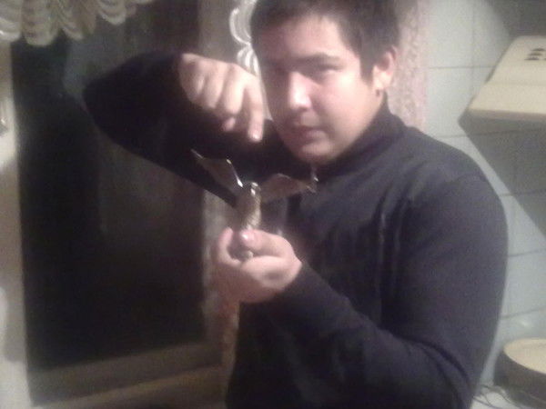 Ильшат Гарипов