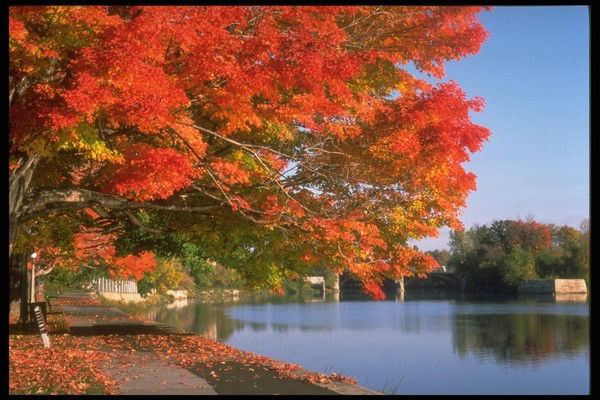 Светлана Ширякина