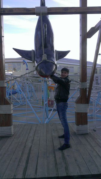 Денис Дубровин