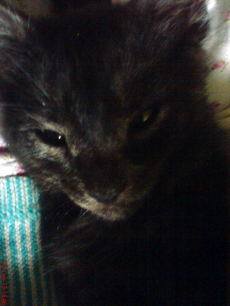 Захаров Владимир