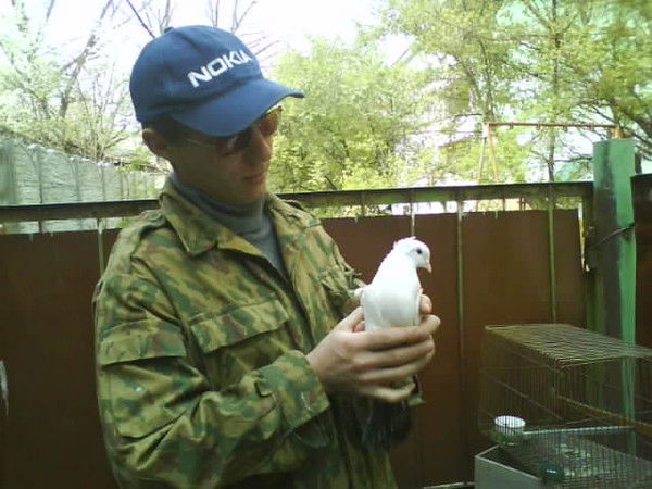 Сергей Швец