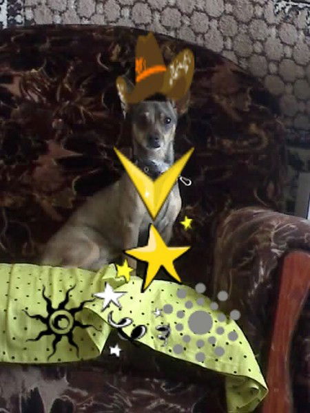 Дина Чапарина