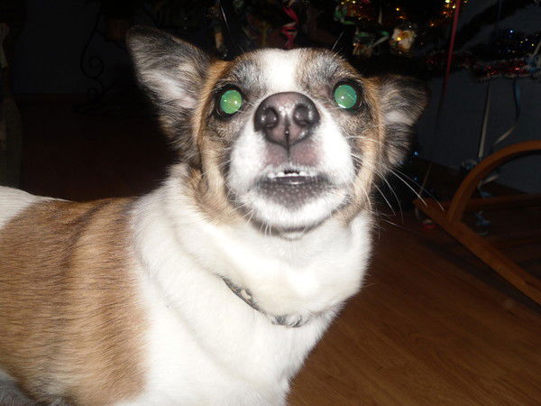 Татьяна Лымар