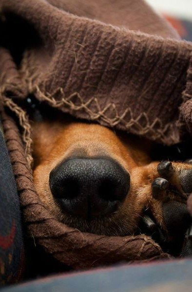 Татьяна Куликова