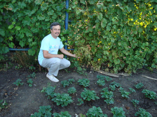 Игорь Игорь