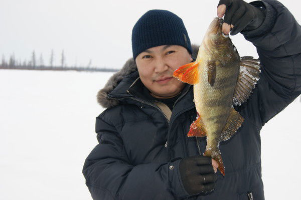 Олег Николаев