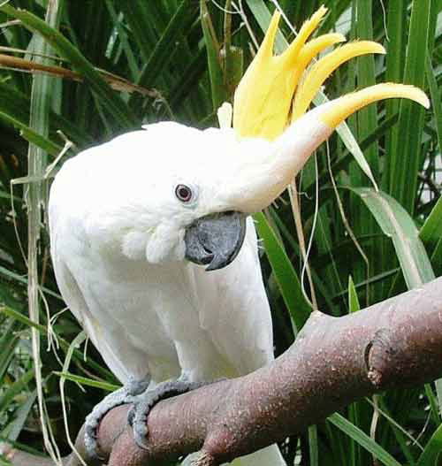 Женя Церегородцева