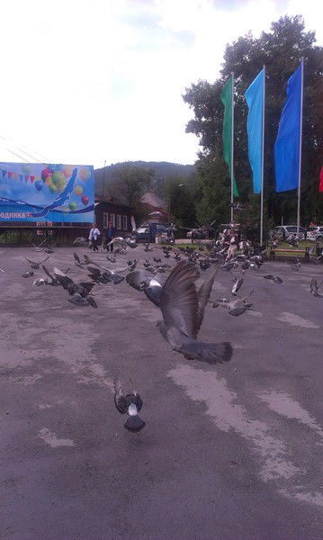 Дарья Гниломёдова