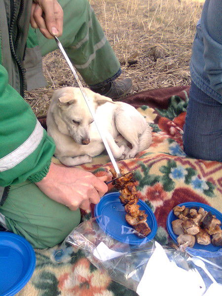Владимир Васильев