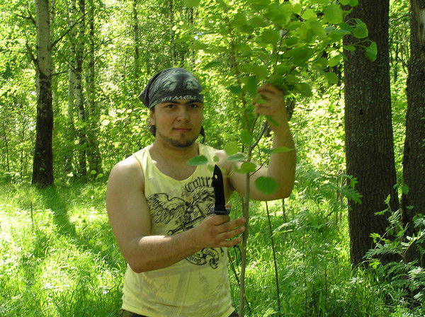 Владимир Позолотин