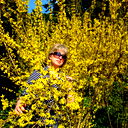 Людмила Седлецкая