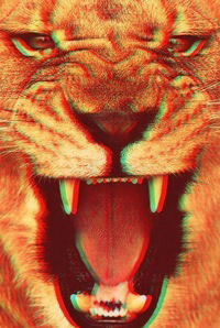 Наташа Сталькова