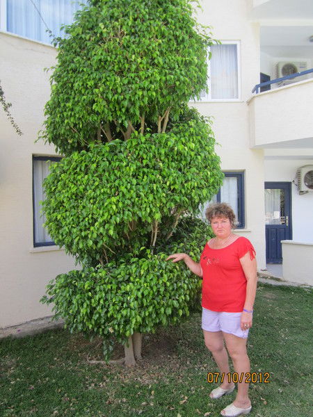 Светлана Дубинкина