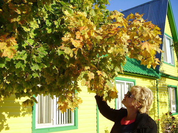 Елена Елена