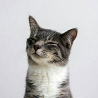 Влад Громов