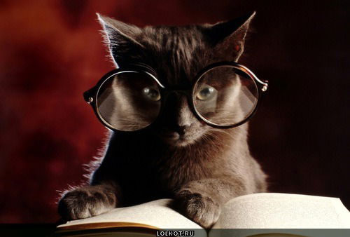 Oльгa Maтийко(Бабенко)