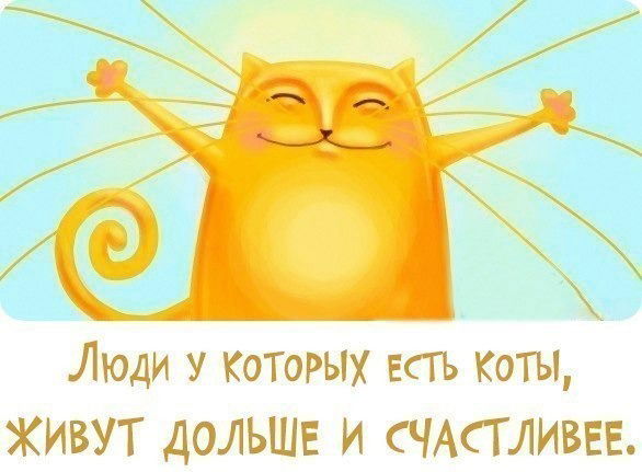 Нила Матиенко