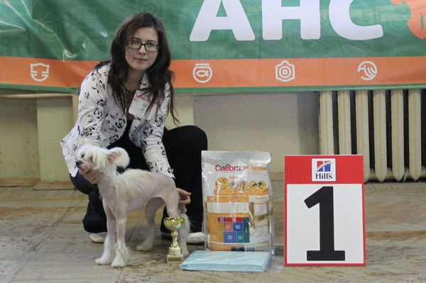 Дарья Крашенинникова