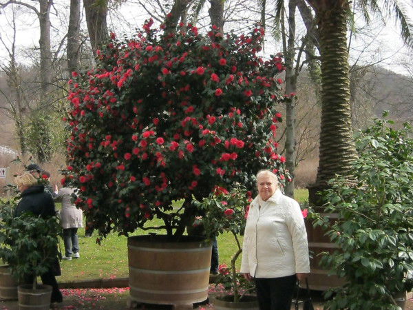 Ирина Кайль