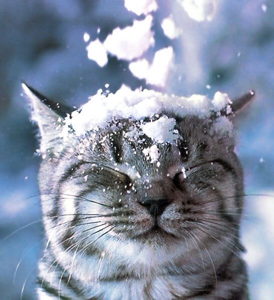 Наталья Игра