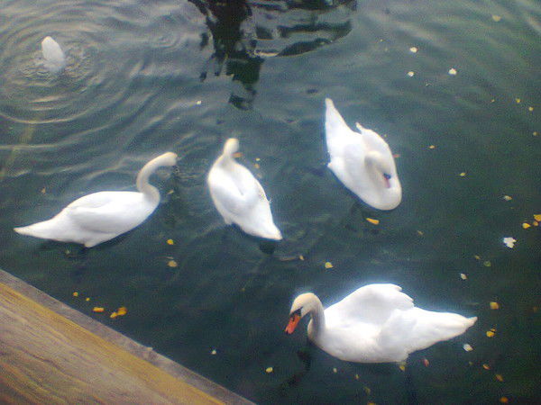 Зарема Нурбаева