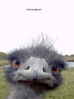 Сергей Чегодаев