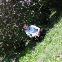 Ваня Романов