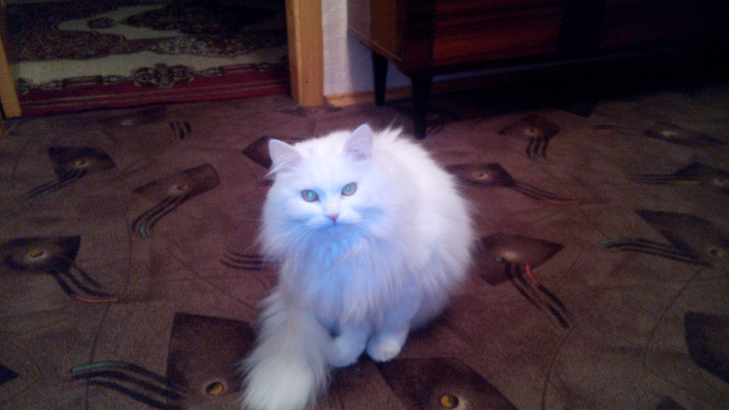 Владимир Скирдаченко