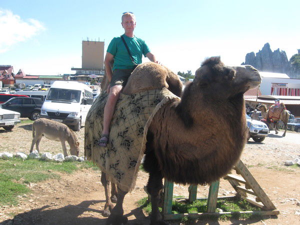 Андрей Шипицин