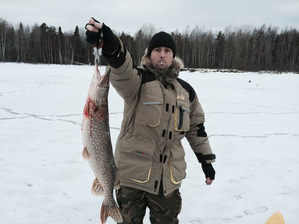 Александр Дубков