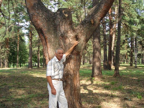 Владимир Куковякин